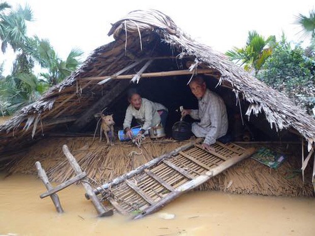 Nhung hinh anh tang thuong mien Trung: Trau bo vao nha, xe may treo len cao tranh lu-Hinh-9