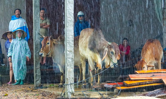 Cong nguoi gia so tan khoi vung nguy hiem truoc khi bao so 5 do bo-Hinh-2