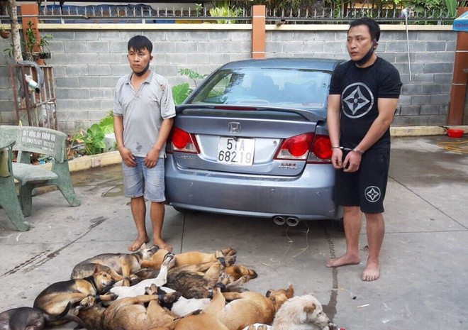 2 nguoi di oto Honda Civic ban ha 14 con cho