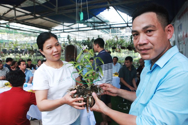 Dai gia Ha Noi chi 5 ty mua gio lan nhin nhu ngon rau muong-Hinh-8