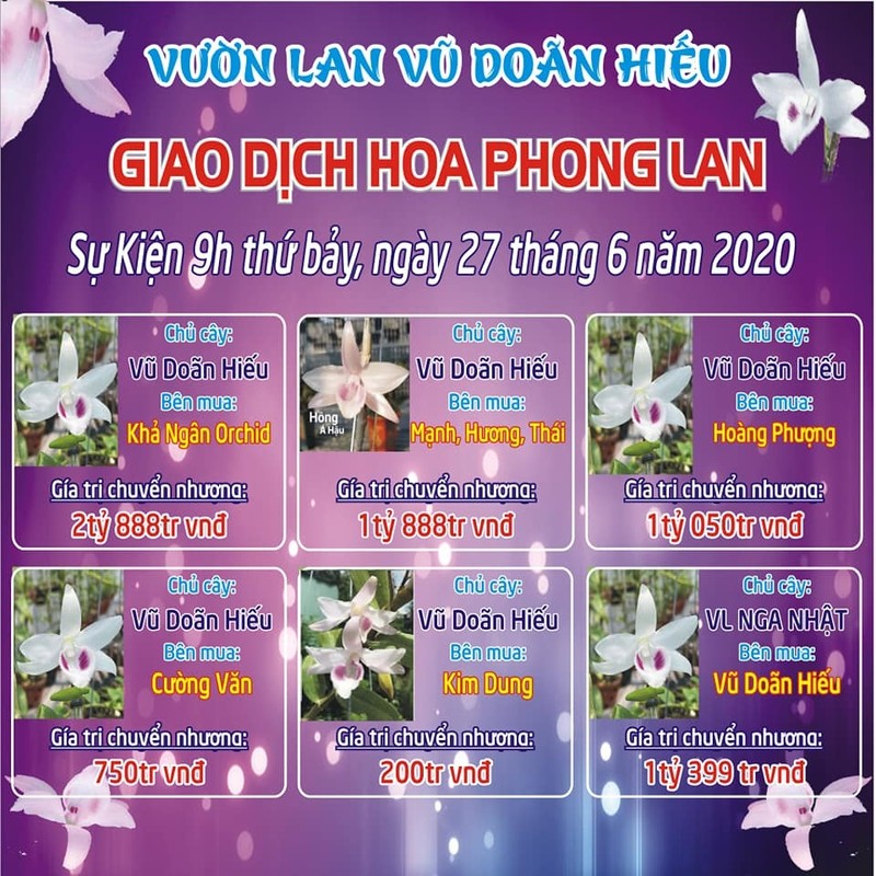 Phien cho hoa lan Bach Tuyet 8 ty, xon xao dan choi dat Bac