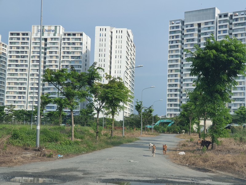 Cai phui tay cua chu dau tu Kien A sau ban hang: Dat nen co moc, biet thu nuoi ga, nha pho bo hoang-Hinh-2