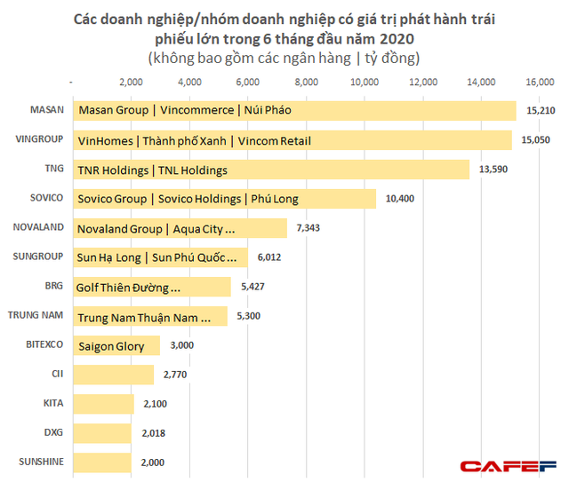 Phat hanh trai phieu nua dau 2020: BIDV, VinHomes, Masan va TNR Holdings dung top dau-Hinh-2