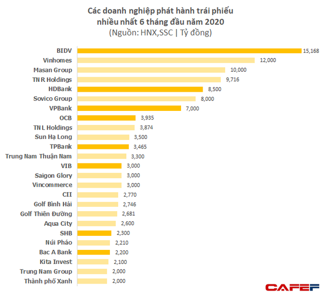 Phat hanh trai phieu nua dau 2020: BIDV, VinHomes, Masan va TNR Holdings dung top dau