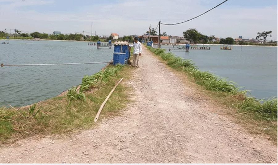 Ao ca tram khong lo o Nam Dinh, ong chu thu deu 7 ty/nam-Hinh-4