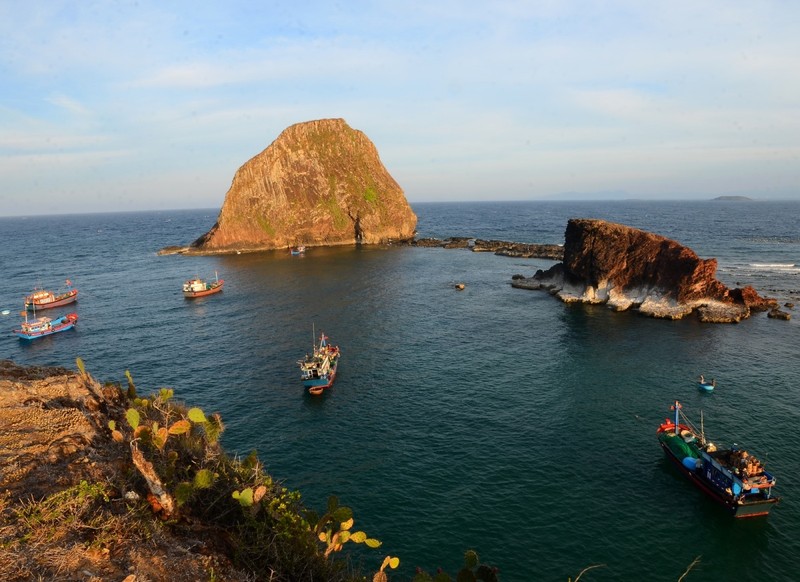 San ho no hoa tren can o Phu yen-Hinh-2