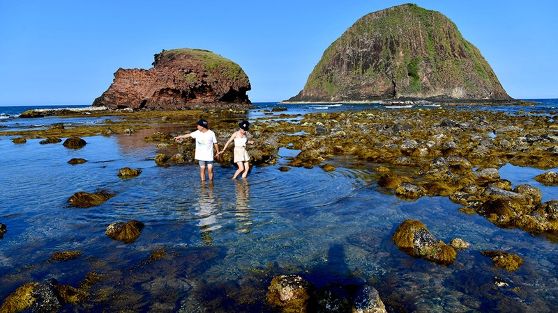 San ho no hoa tren can o Phu yen-Hinh-3