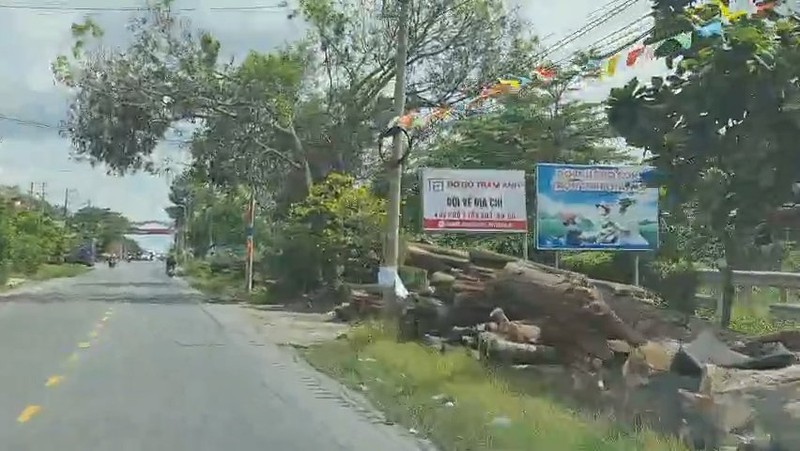 Dong Nai: 'Cho go' tren via he duong Dieu Xien, phuong Tan Bien-Hinh-11