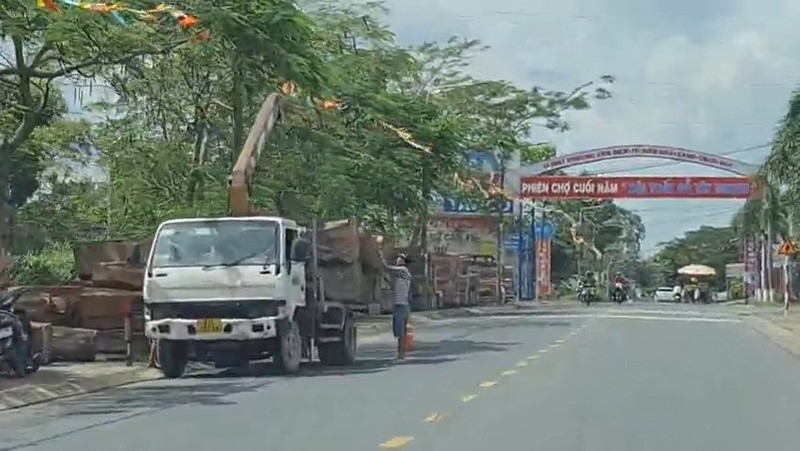 Dong Nai: 'Cho go' tren via he duong Dieu Xien, phuong Tan Bien-Hinh-8