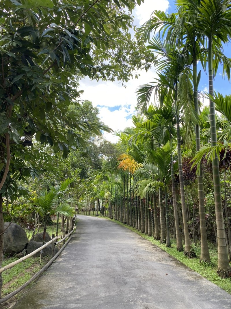 Phuoc Tan (Dong Nai): Khu nghi duong va dieu tri Phuc hoi chuc nang Thien Tam xay trai phep tren dat nong nghiep?-Hinh-27