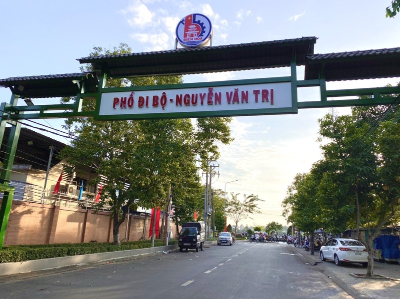 “Vui quen loi ve” tai nhung con pho di bo ruc ro sac mau dip Tet-Hinh-3