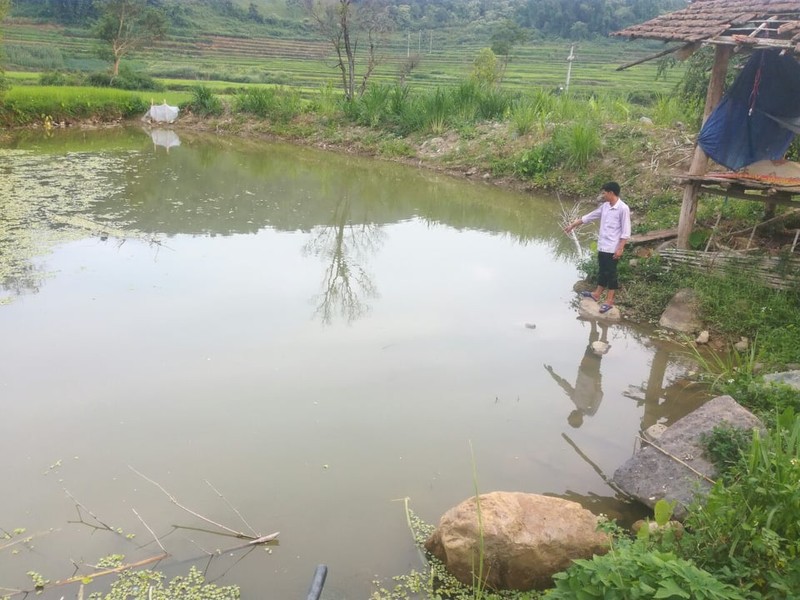 3 chau nho tu vong thuong tam o Dien Bien