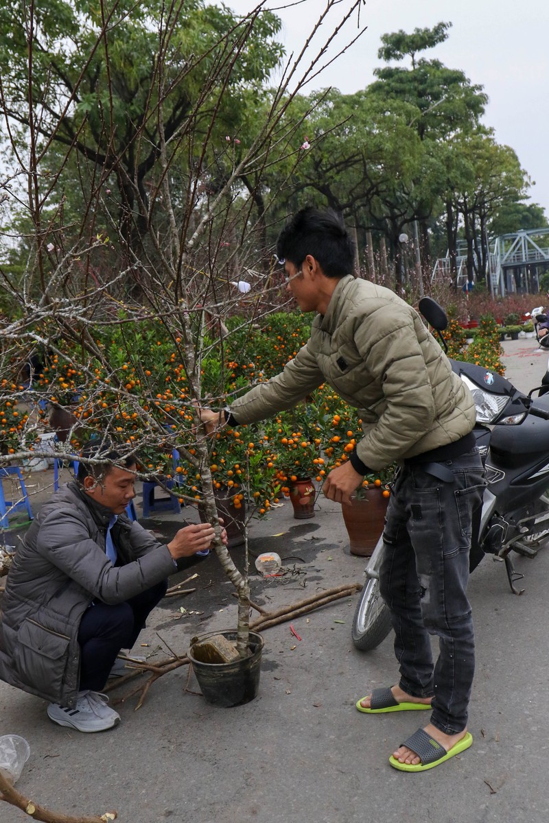 Thi truong Tet Nham Dan: Suc mua yeu, xa hang o at-Hinh-14