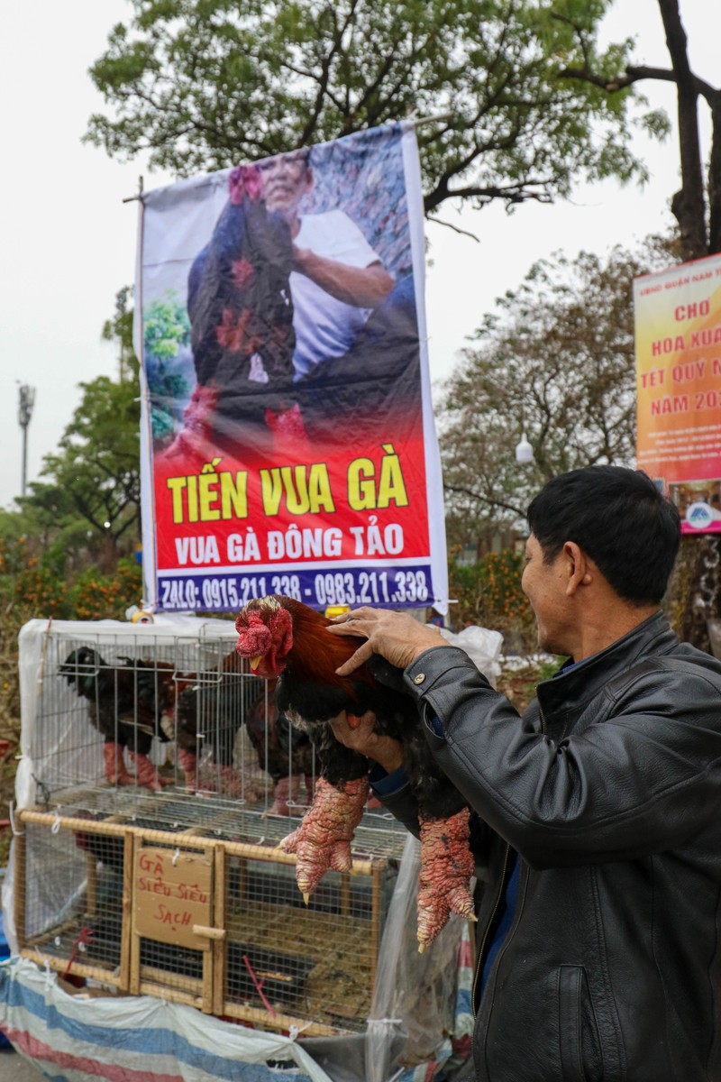 Thi truong Tet Nham Dan: Suc mua yeu, xa hang o at-Hinh-5