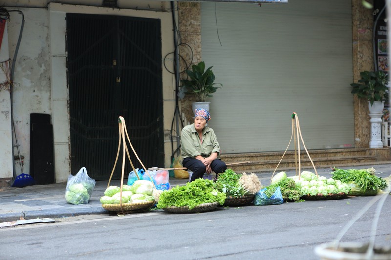 Ha Noi: Cho mo cua som ngay mung 2 Tet Giap Thin-Hinh-6