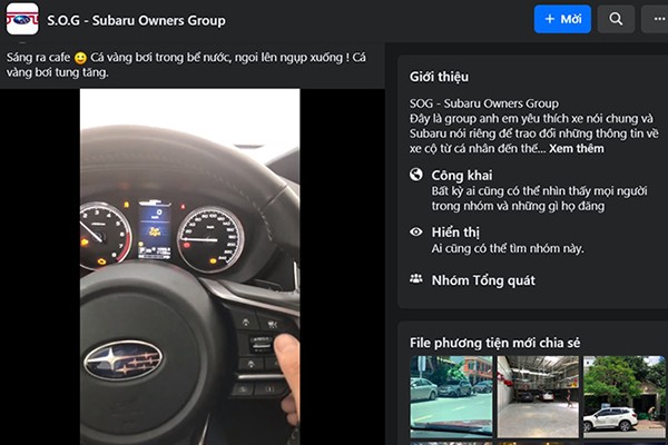 Nhà phân phối nói gì về lỗi 'cá vàng' trên xe Subaru? Nha phan phoi noi gi ve loi 'ca vang' tren xe Subaru?