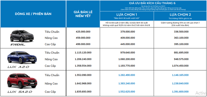 VinFast giam toi 100% phi truoc ba cho khach mua xe Fadil-Hinh-3