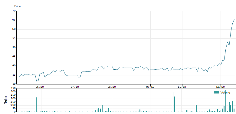 Vinaconex P&C dieu chinh giam 12% ke hoach loi nhuan, co phieu tang dot bien 70%-Hinh-2