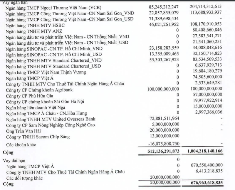 Sam Holdings bao lai rong nam 2019 sut 25% nhung no vay dai han giam dang ke 97%-Hinh-2