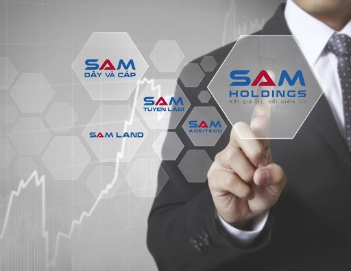 Sam Holdings bao lai rong nam 2019 sut 25% nhung no vay dai han giam dang ke 97%