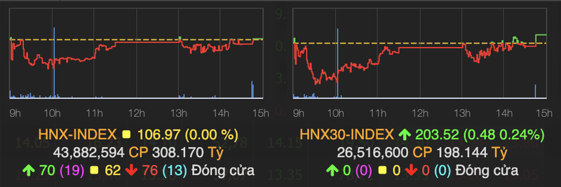 VNM va CTD tang tran trong phien cuoi tuan-Hinh-2