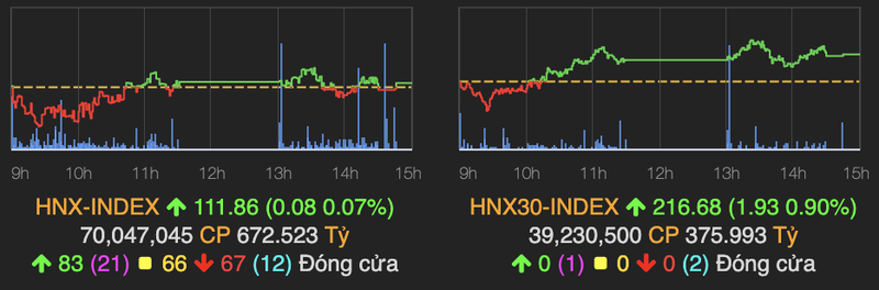 Bo ba 'ho Vin' bi chot loi manh, VN-Index quay dau giam diem-Hinh-2