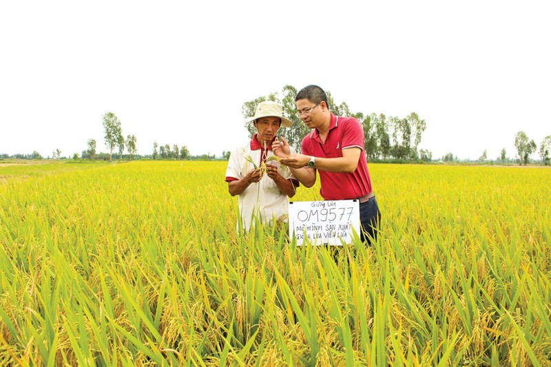 Bi anh huong COVID-19, giac mo niem yet cua Loc Troi bi tri hoan