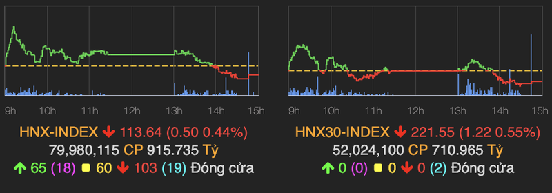 Co phieu CTD giam san, VN-Index quay dau giam diem-Hinh-2