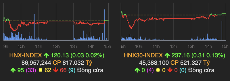 HoSE gap su co chua xac dinh duoc gia ket phien 9/6-Hinh-2