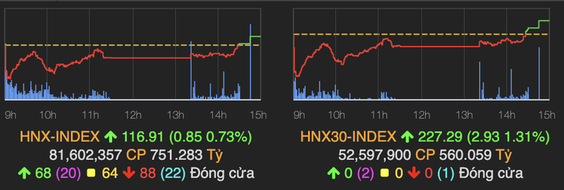 VN-Index thu hep da giam, ve moc 864 diem cuoi phien 12/6-Hinh-2