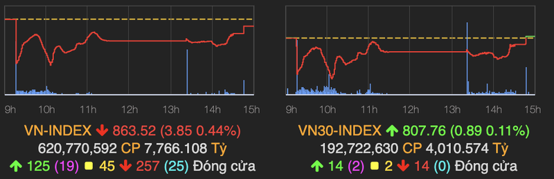 VN-Index thu hep da giam, ve moc 864 diem cuoi phien 12/6