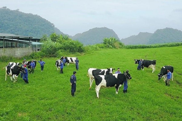 Lam Nghiep Sai Gon thu ve 28 ty dong tu viec thoai von tai GTNFoods