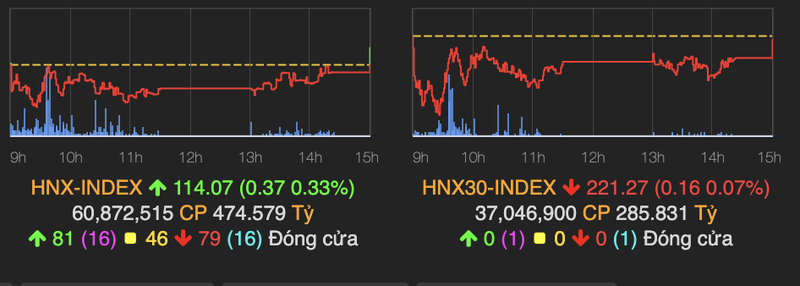 Cac ma nganh thep but pha du VN-Index mat hon 5 diem-Hinh-2