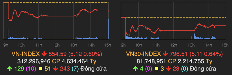 Cac ma nganh thep but pha du VN-Index mat hon 5 diem