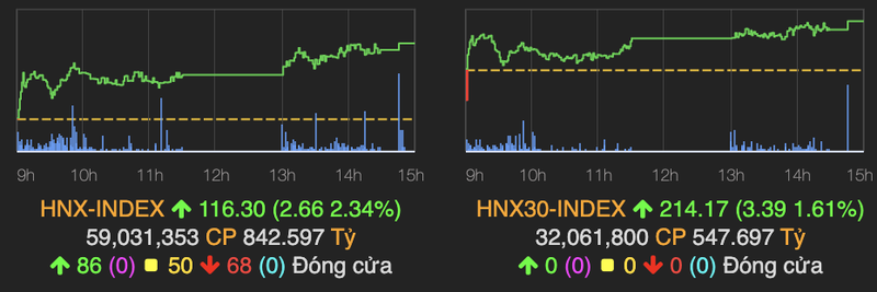 Thi truong linh xinh, VN-Index dut mach tang diem nhieu phien lien tiep-Hinh-2