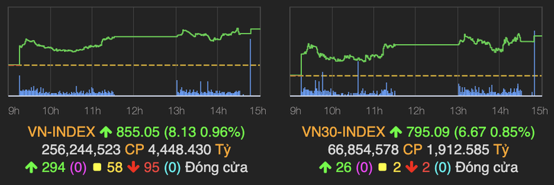 Thi truong thang hoa, VN-Index tang hon 8 diem ket phien 13/8
