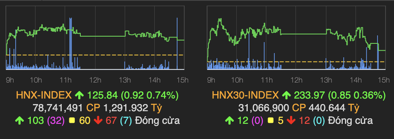 Thanh khoan thi truong den 9.300 ty dong nhung VN-Index van bo lo moc 880-Hinh-2