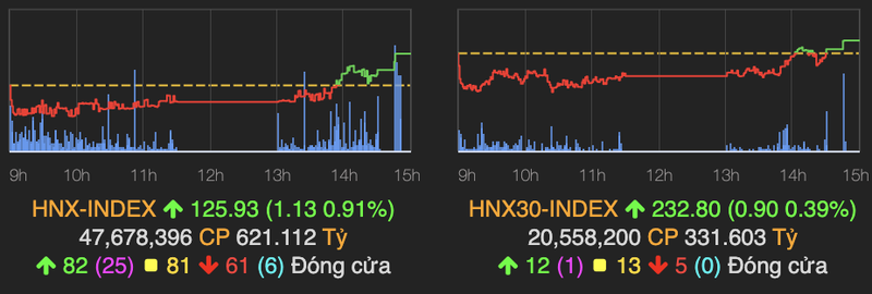 VN-Index quay ve tham chieu, co phieu nong nghiep tiep tuc hut tien phien 9/9-Hinh-2