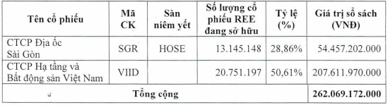 REE khoi dong tai cau truc, chuyen quyen so huu co phieu sang cac cong ty con-Hinh-3