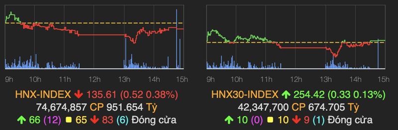 VN-Index giam gan 1 diem, rieng co phieu ban le van giu sac xanh-Hinh-2