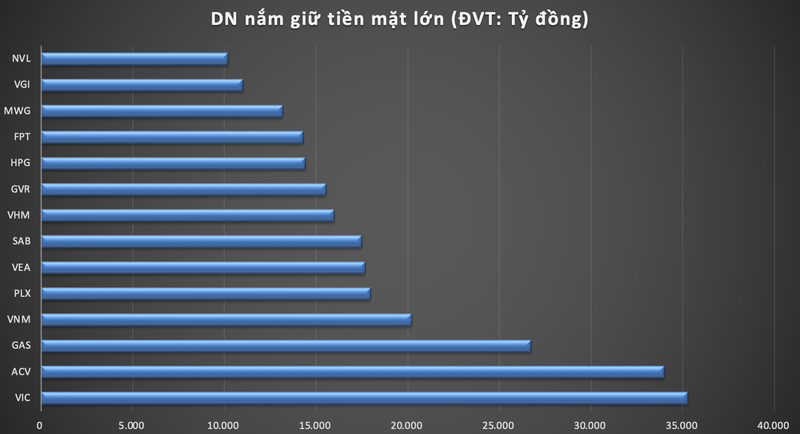 Top nhung doanh nghiep so huu hon 10.000 ty dong tien mat trong dai dich