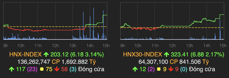 VN-Index ket thuc nam 2020 o moc 1.104 diem, tang 15% trong vong 1 nam-Hinh-2