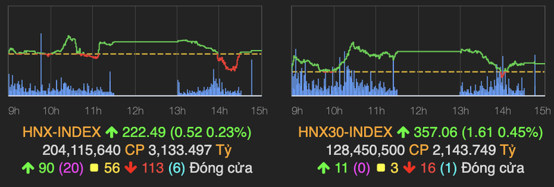 VN-Index gap ap luc chot loi, roi 6 diem ket phien 13/1-Hinh-2