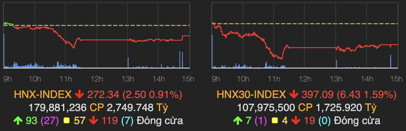 VN-Index bay 10 diem, nhom FLC van toa sang trong phien-Hinh-2