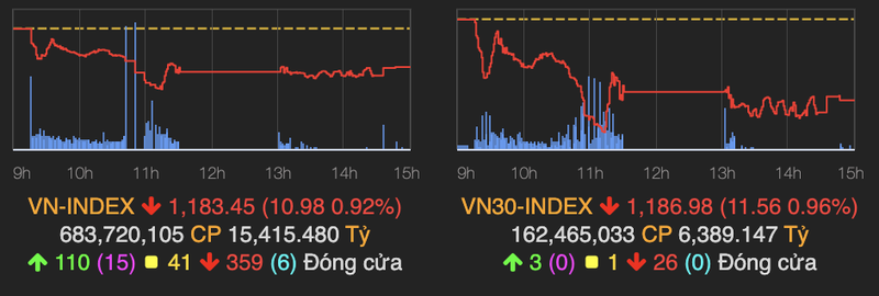 VN-Index bay 10 diem, nhom FLC van toa sang trong phien