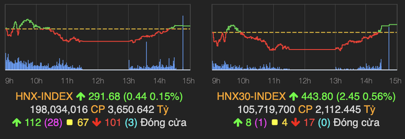 Dau khi tro xanh ve cuoi phien, VN-Index tang nhe gan 4 diem-Hinh-2