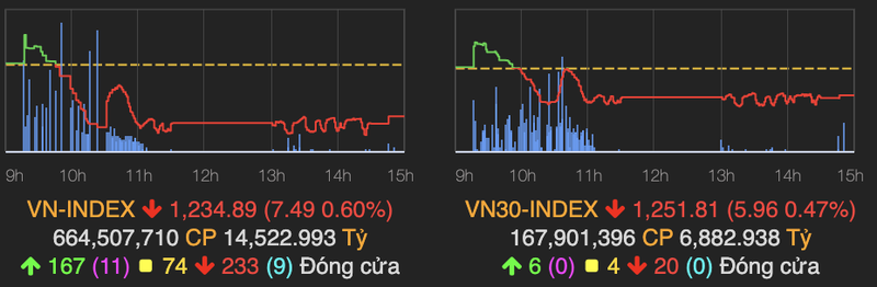 VN-Index giam 8 diem trong khi HNX-Index van tang tot