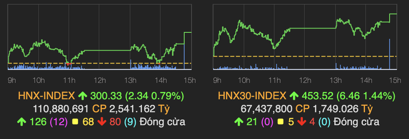 CTG but pha, VN-Index gan cham moc 1.300 diem phien 24/5-Hinh-2