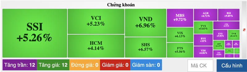 Co phieu chung khoan 'bung noc', 12/24 ma tim lim