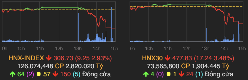 Nganh ban le tru sac xanh khi VN-Index lien tiep do day giam 27 diem-Hinh-2